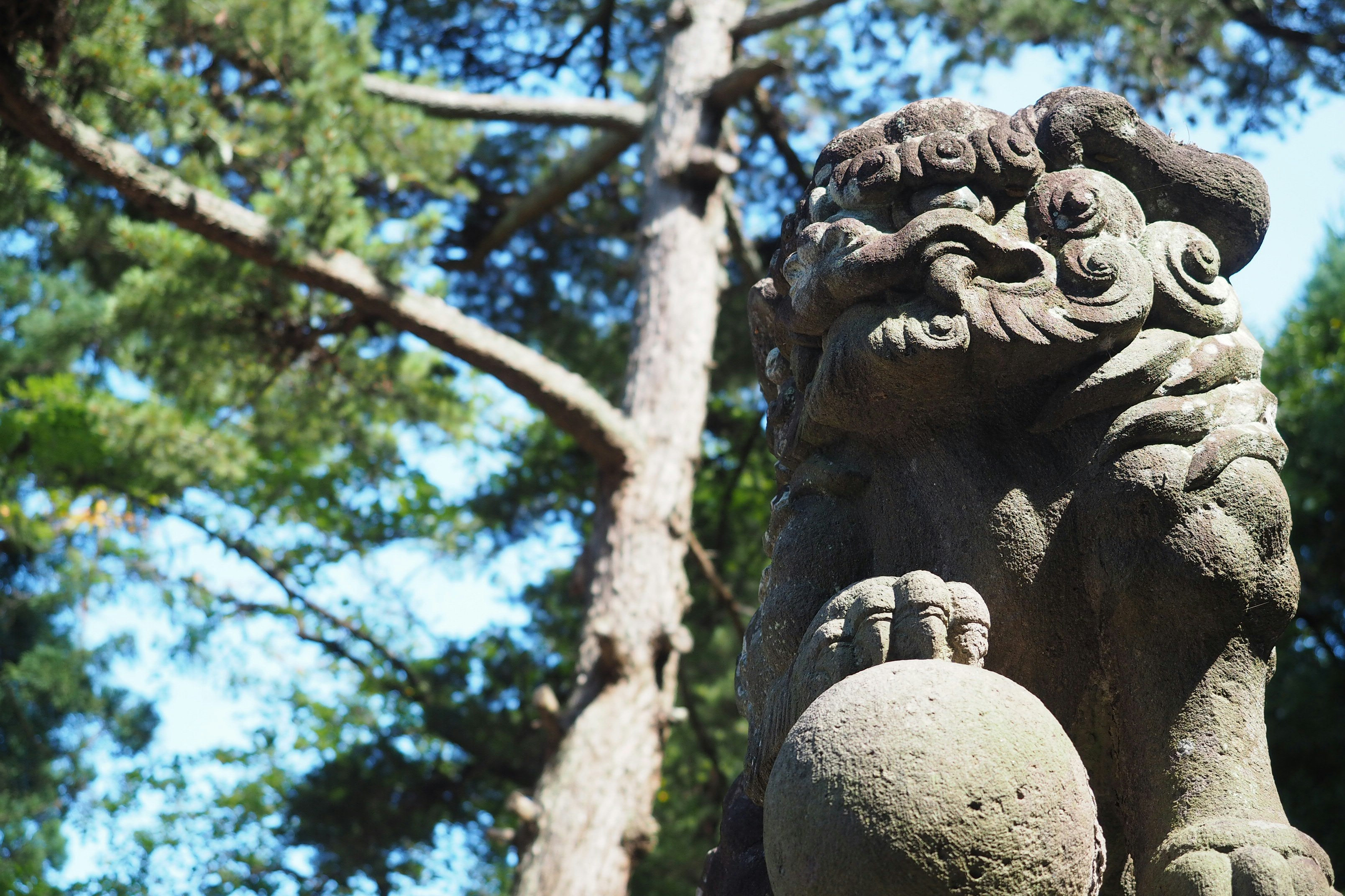 brown wooden statue under blue sky during daytime